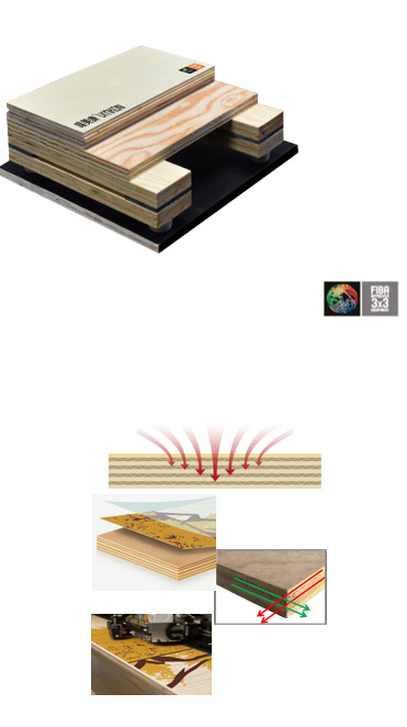BioMass System Image